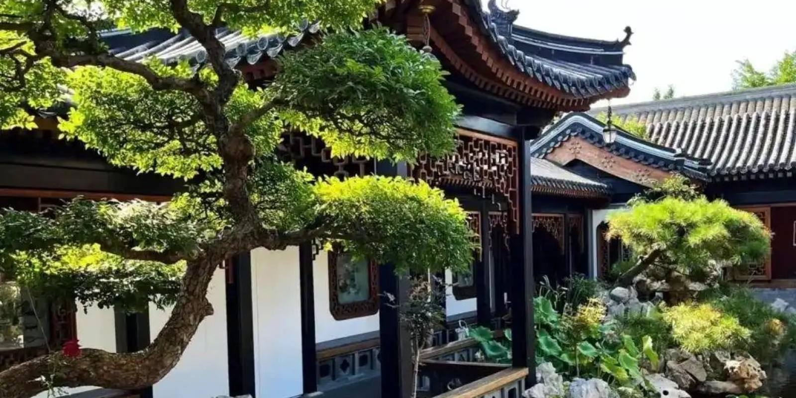 球速体育社区 球迷讨论与话题互动