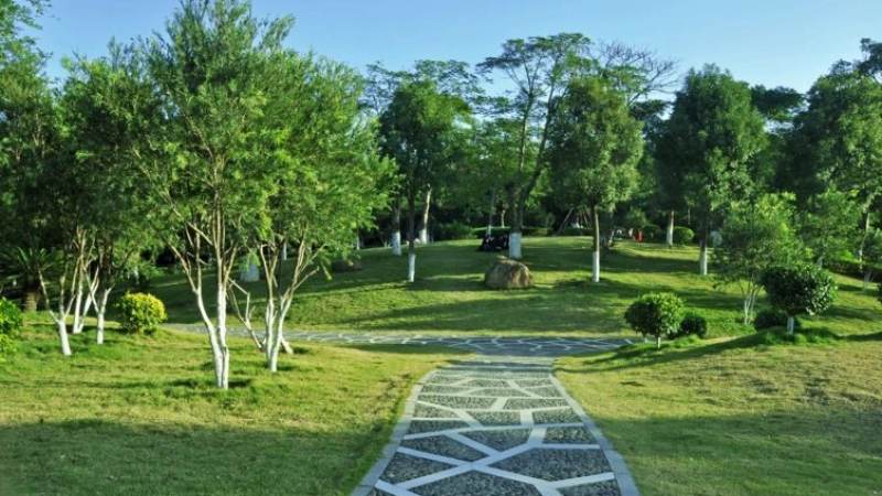 球速体育资讯 欧冠淘汰赛对阵形势解读
